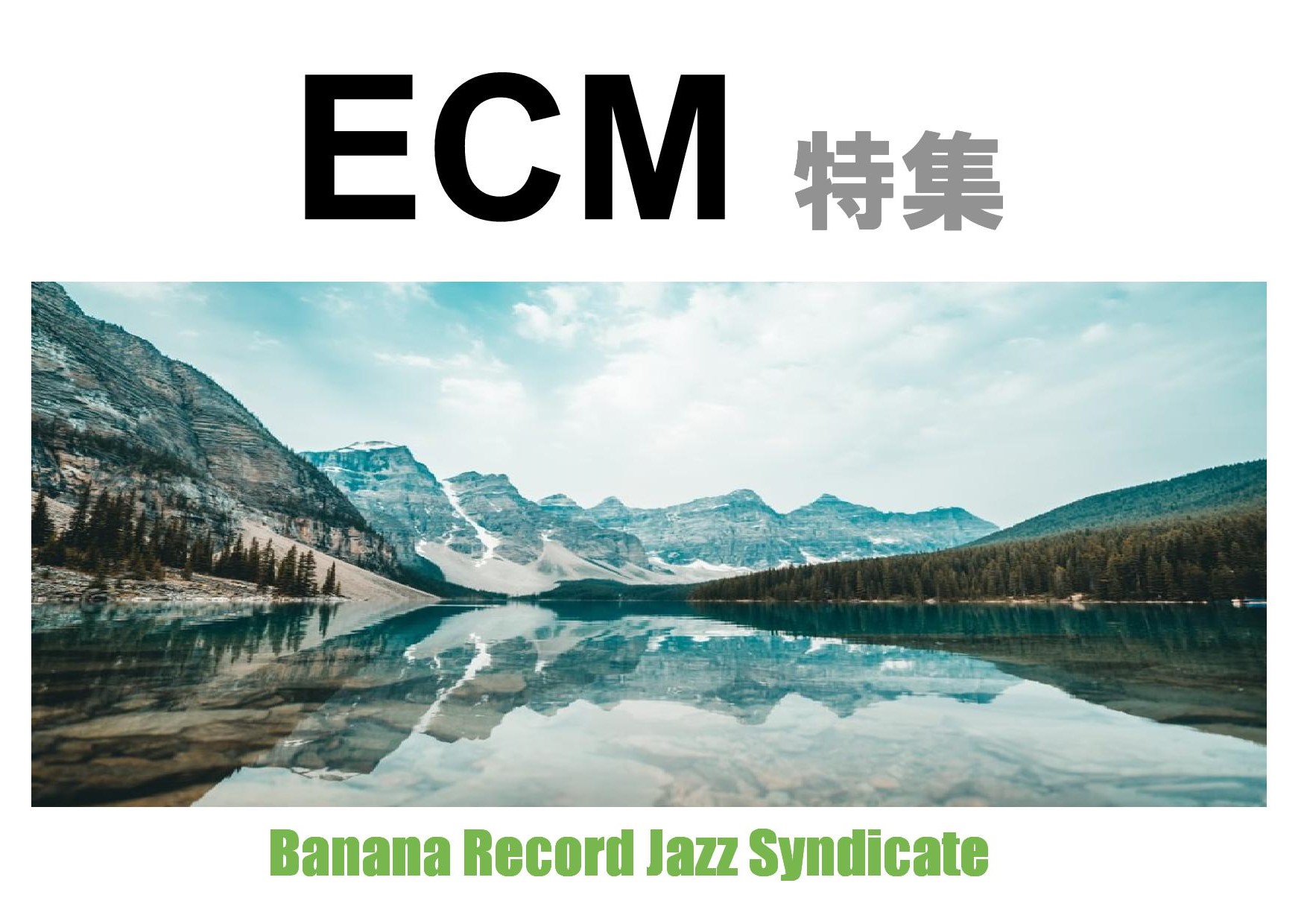 【ジャズシンジケート】ECM特集(LP)
